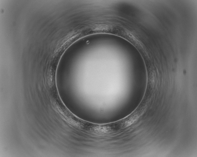 X0000054430261200507291256