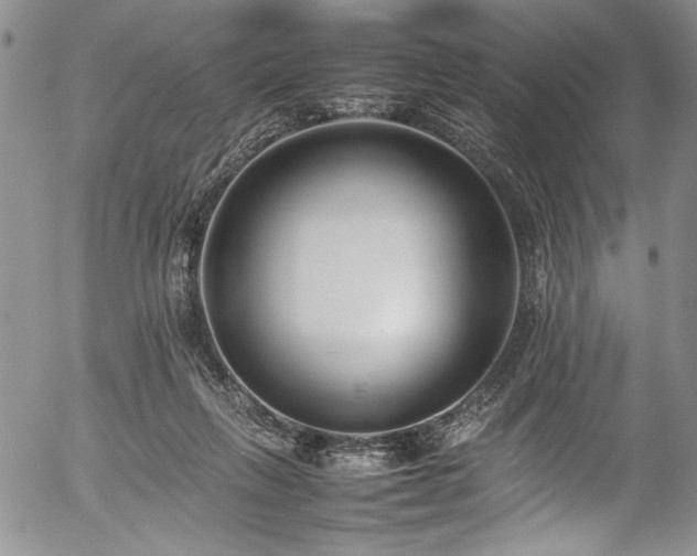X0000054430263200507291256