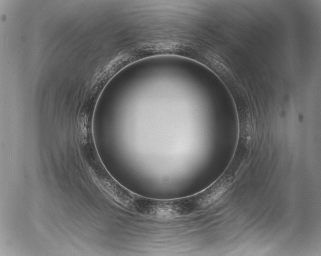 X0000054430264200507291256