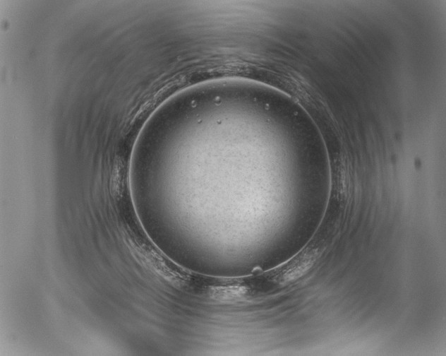 X0000054430266200507291256