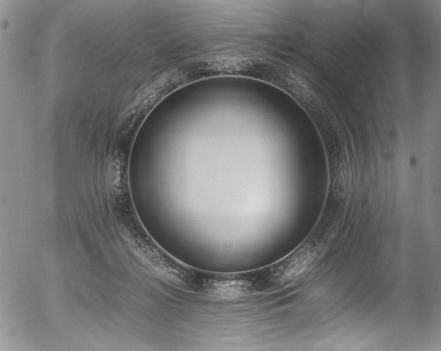 X0000054430268200507291256