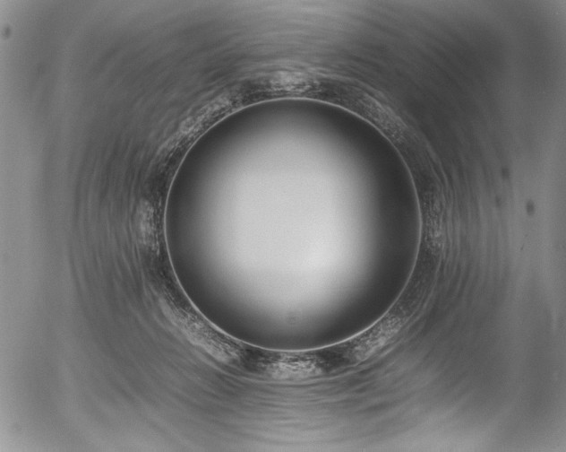 X0000054430270200507291256