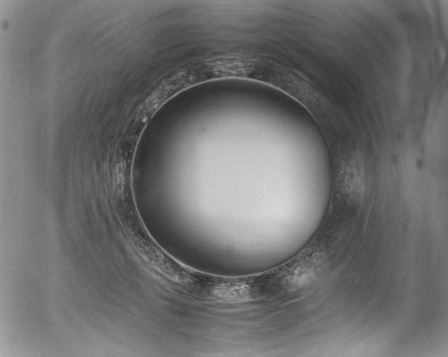 X0000054430271200507291256