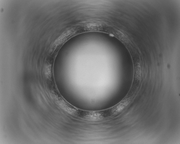 X0000054430278200507291256