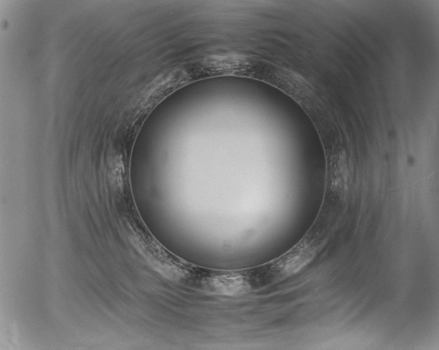X0000054430279200507291256