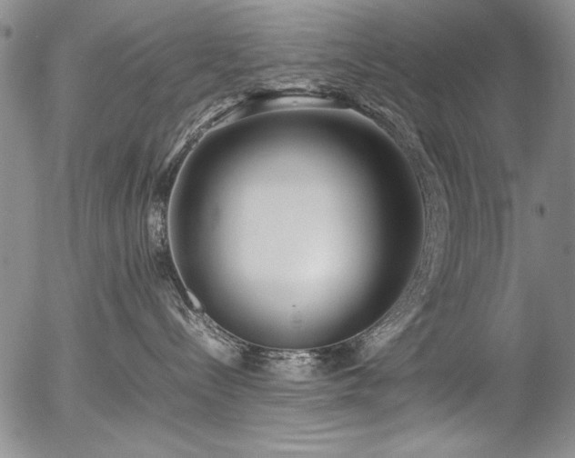 X0000054430288200507291256