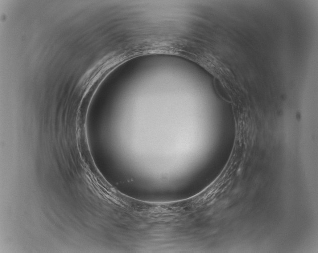 X0000054430290200507291255