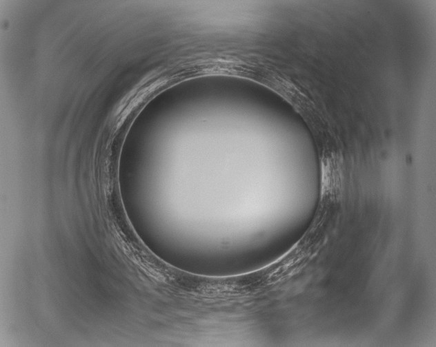 X0000054430291200507291255