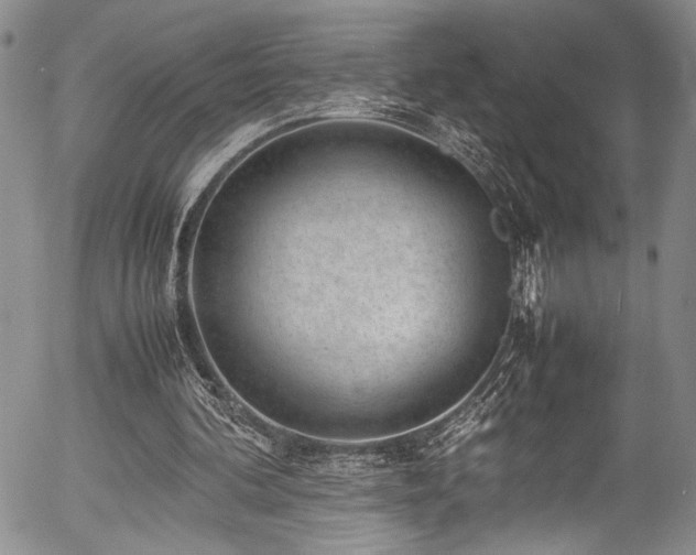 X0000054430292200507291255