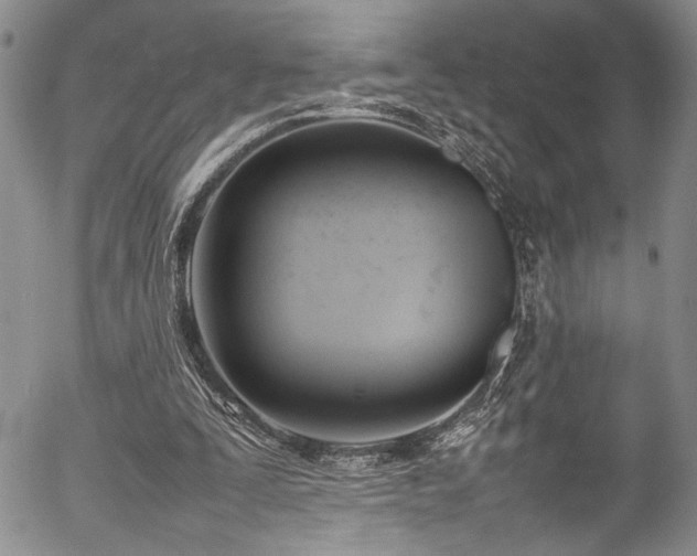 X0000054430295200507291255