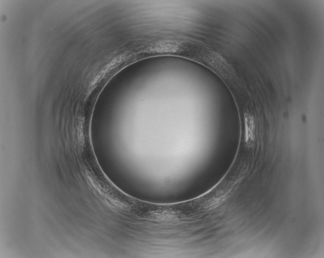 X0000054430300200507291255