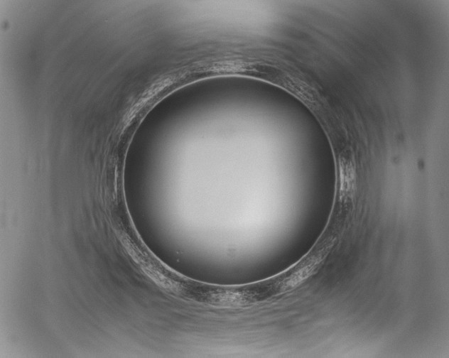 X0000054430301200507291255