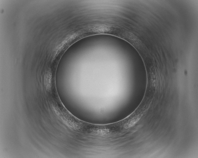X0000054430304200507291255