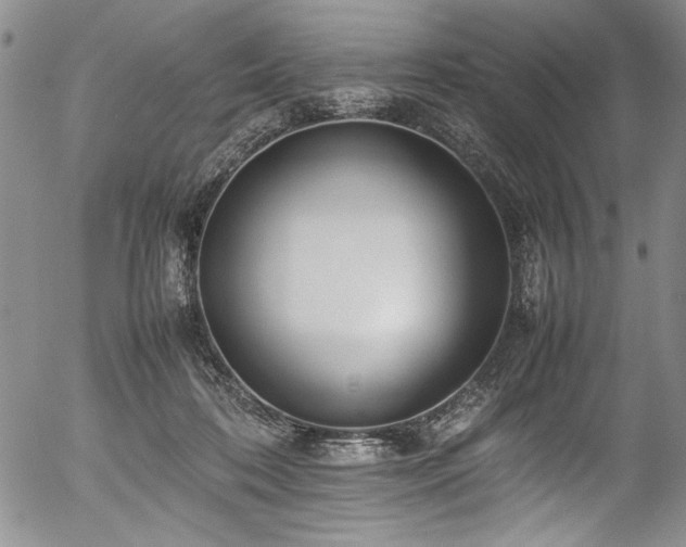 X0000054430316200507291255