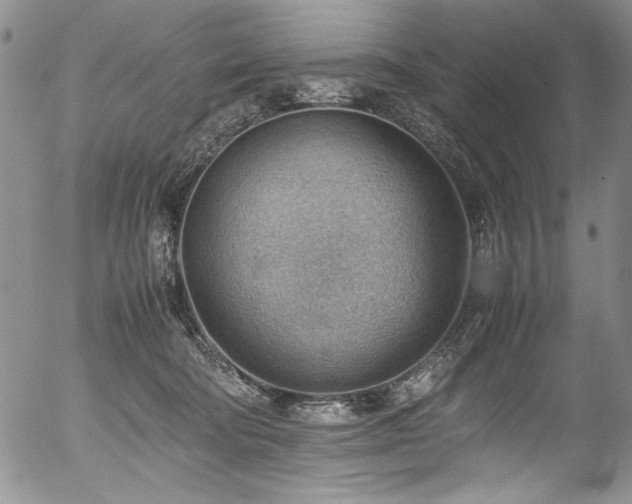 X0000054430322200507291255