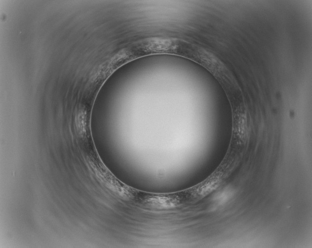X0000054430326200507291255