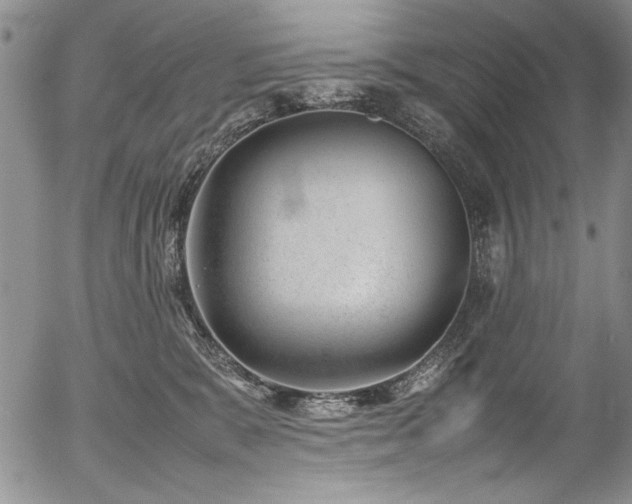X0000054430327200507291255