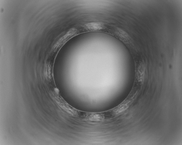 X0000054430330200507291255