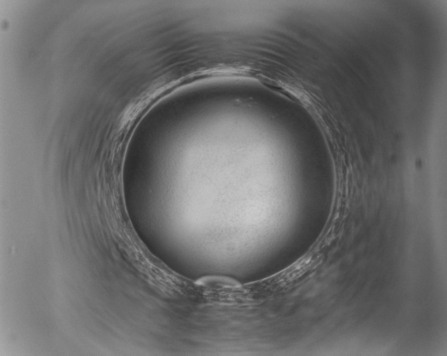 X0000054430337200507291254