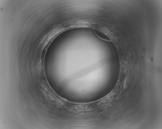 X0000054430338200507291254