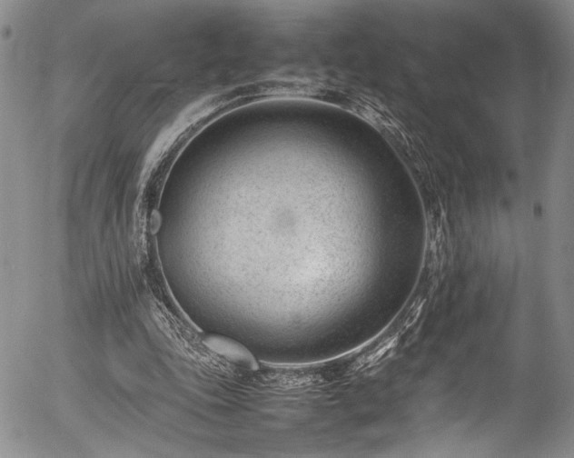 X0000054430343200507291254
