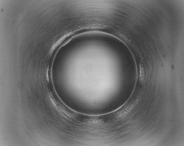 X0000054430348200507291254