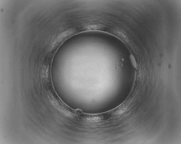 X0000054430357200507291254