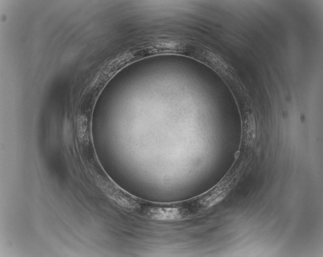 X0000054430361200507291254