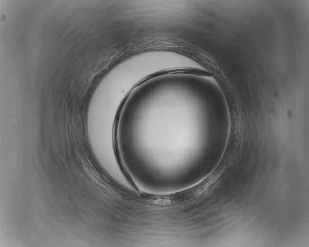 X0000054430362200507291254