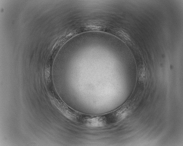 X0000054430365200507291254