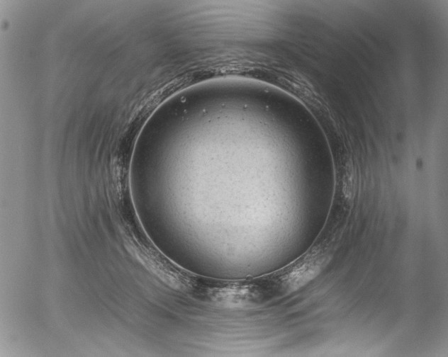 X0000054430366200507291254