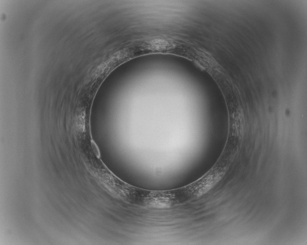 X0000054430368200507291254