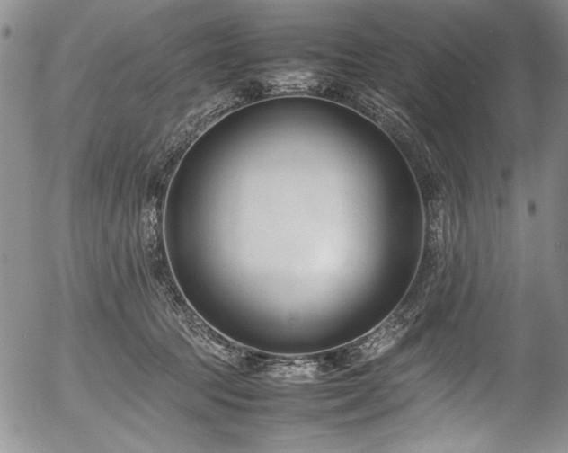 X0000054430369200507291254
