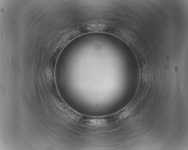 X0000054430371200507291254