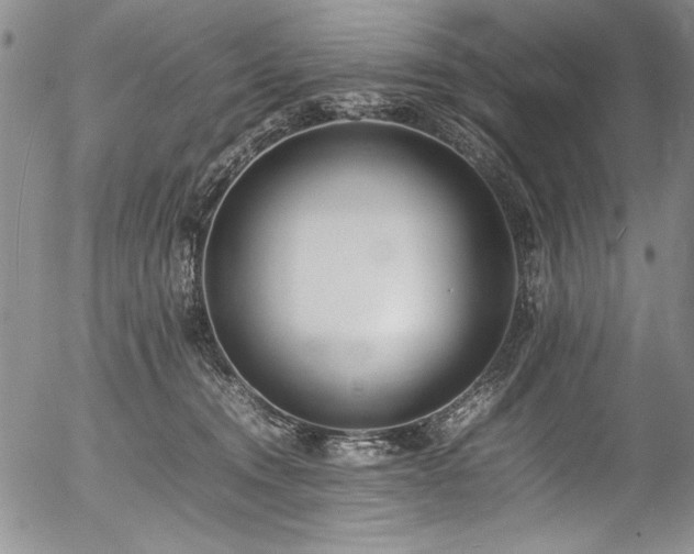 X0000054430372200507291254