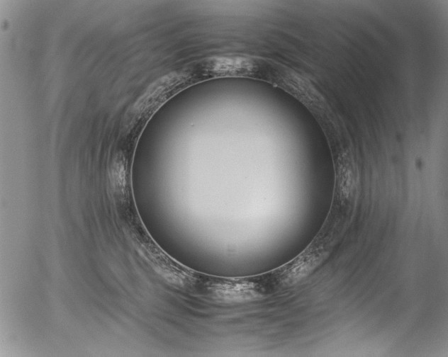 X0000054430375200507291255