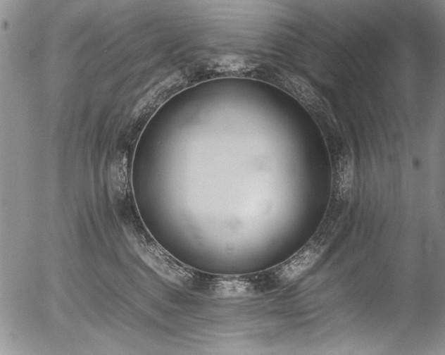 X0000054430376200507291255