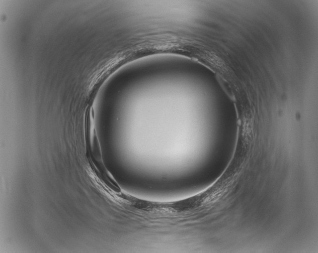 X0000054430397200507291254