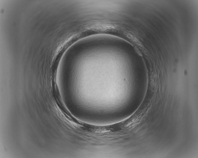 X0000054430399200507291254