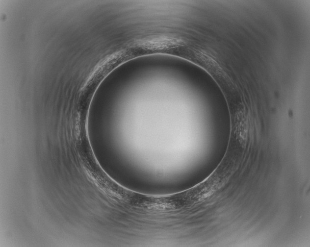 X0000054430400200507291254