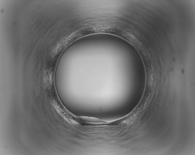 X0000054430405200507291254