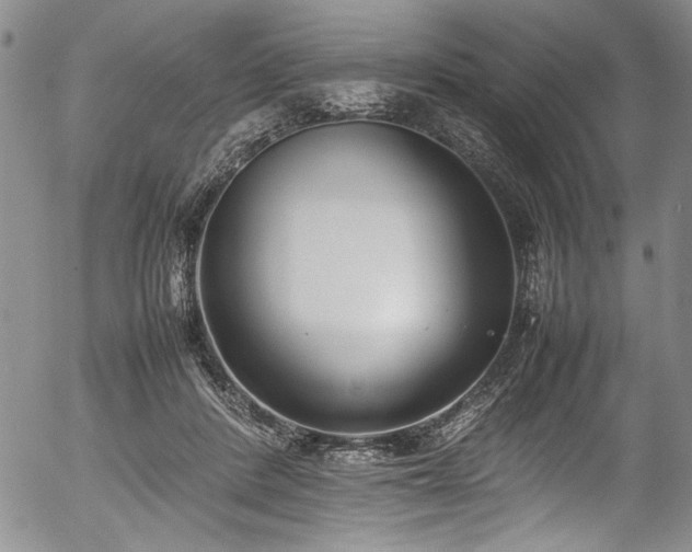 X0000054430408200507291254