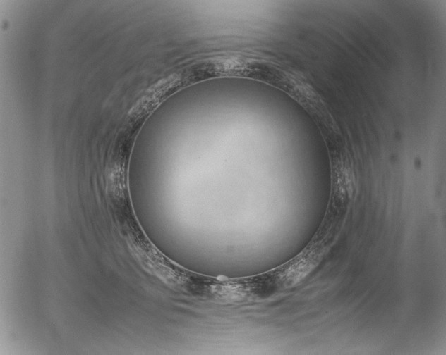 X0000054430419200507291253