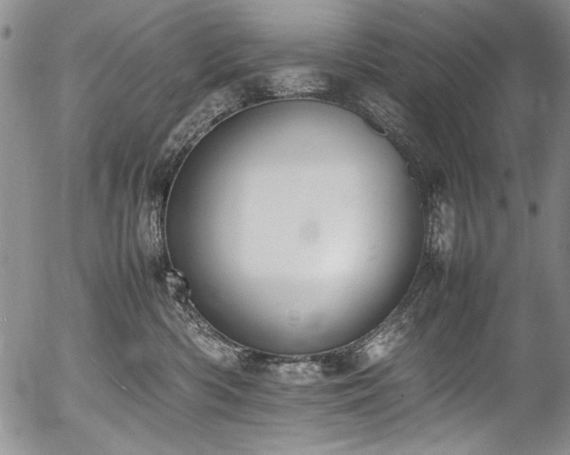 X0000054430426200507291253