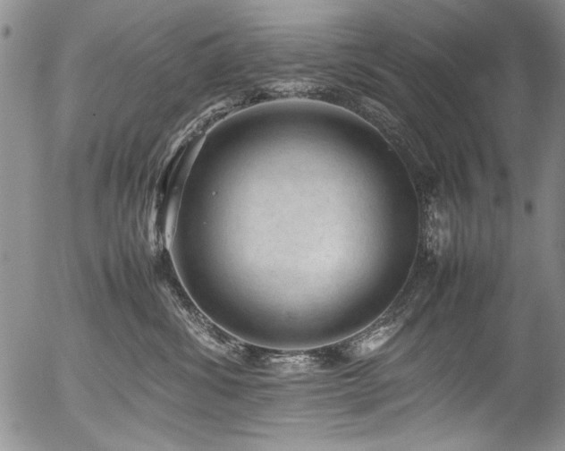 X0000054430428200507291253