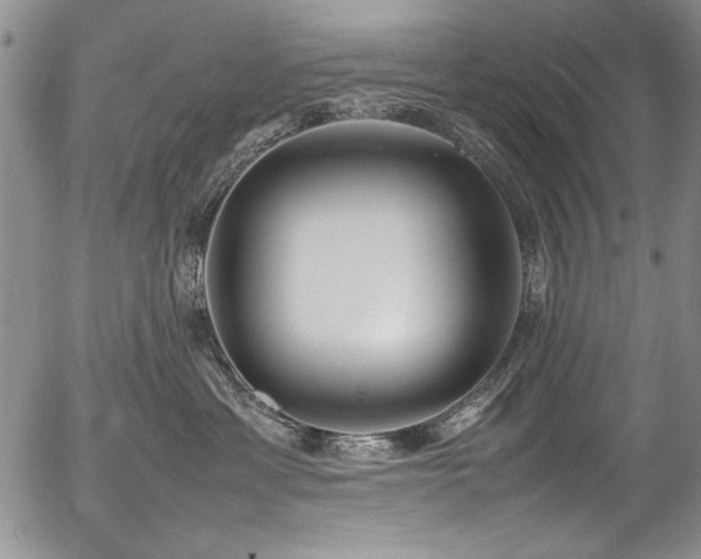 X0000054430429200507291253