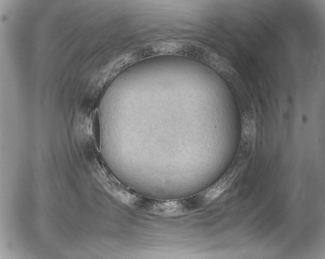 X0000054430431200507291253