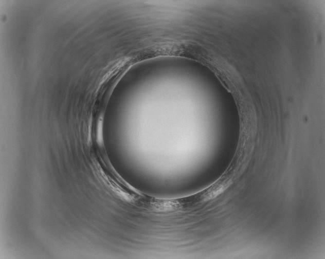 X0000054430432200507291253