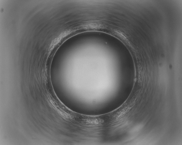 X0000054430439200507291252