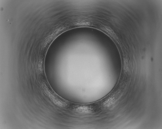 X0000054430441200507291252